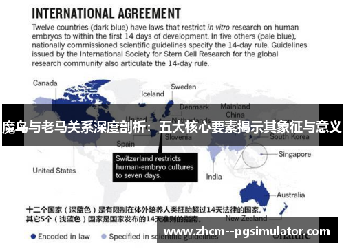 魔鸟与老马关系深度剖析：五大核心要素揭示其象征与意义